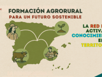 jornadas