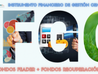 Instrumento Financiero de Gestión Centralizada