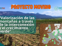 Proyecto MOVING