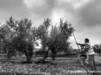 Grupo Focal de Acceso a la Tierra