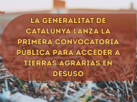 catalunya tierra abandonada