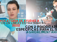 Proyectos en líneas estratégicas 2022