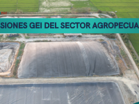 sector agropecuario 