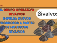 El Grupo Operativo BIVALVOS impulsa nuevos productos a partir de moluscos bivalvosEl Grupo Operativo BIVALVOS impulsa nuevos productos a partir de moluscos bivalvosEl Grupo Operativo BIVALVOS impulsa nuevos productos a partir de moluscos bivalvos