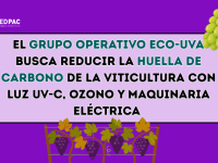 El Grupo Operativo ECO-UVA busca reducir la huella de carbono de la viticultura con luz UV-C, ozono y maquinaria eléctrica El Grupo Operativo ECO-UVA busca reducir la huella de carbono de la viticultura con luz UV-C, ozono y maquinaria eléctrica El Grupo Operativo ECO-UVA busca reducir la huella de carbono de la viticultura con luz UV-C, ozono y maquinaria eléctrica El Grupo Operativo ECO-UVA busca reducir la huella de carbono de la viticultura con luz UV-C, ozono y maquinaria eléctrica El Grupo Operativo E