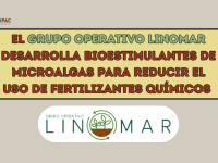 El Grupo Operativo LINOMAR desarrolla bioestimulantes de microalgas para reducir hasta un 50 % el uso de fertilizantes químicosEl Grupo Operativo LINOMAR desarrolla bioestimulantes de microalgas para reducir hasta un 50 % el uso de fertilizantes químicosEl Grupo Operativo LINOMAR desarrolla bioestimulantes de microalgas para reducir hasta un 50 % el uso de fertilizantes químicosEl Grupo Operativo LINOMAR desarrolla bioestimulantes de microalgas para reducir hasta un 50 % el uso de fertilizantes químicosEl G