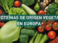 proteínas vegetales